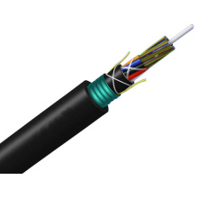 Câble de fibre optique à mode unique à double accès direct (GYTY53)